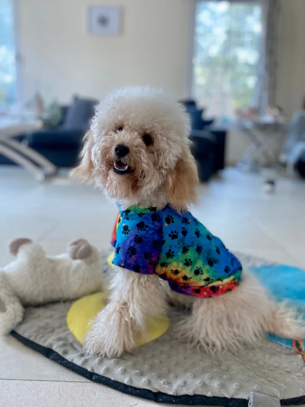 Dog t-shirt / Pyjamas in multi coloured paws pattern